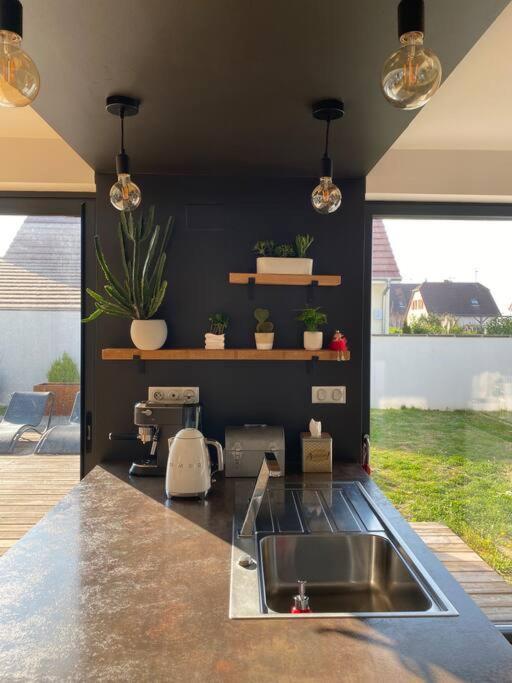 Maison D'Architecte Situee Sur La Route Des Vins Châtenois Dış mekan fotoğraf